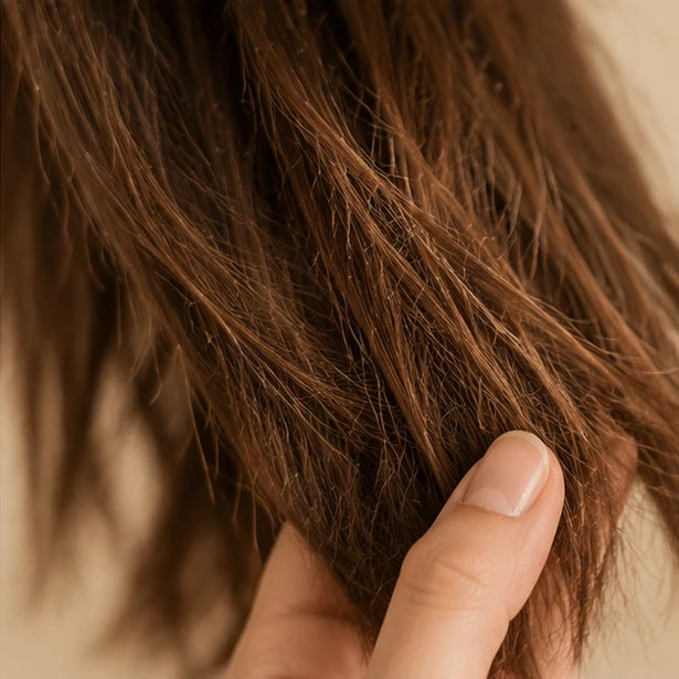 Brittle and Damaged Hair Strands